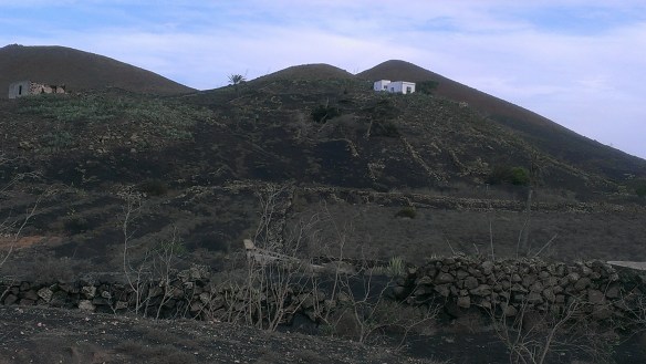 9Restanques abandonnées