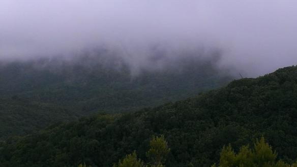 Pluie (mouillée) horizontale
