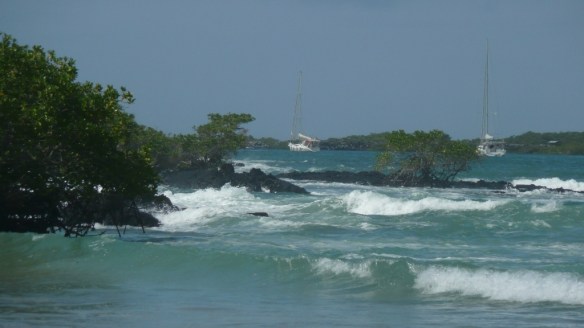 Yo ! au mouillage de Puerto Villamil