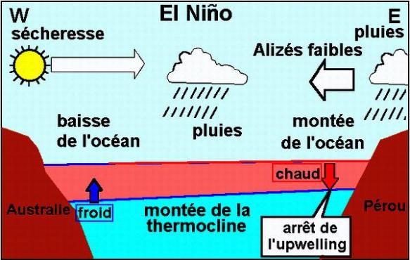 Très schématique structure Ouest-Est d'un phénomène El Nino 