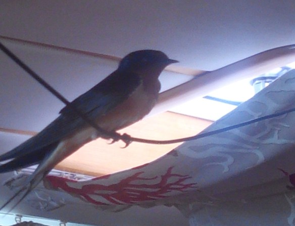 ???????????????????????????????