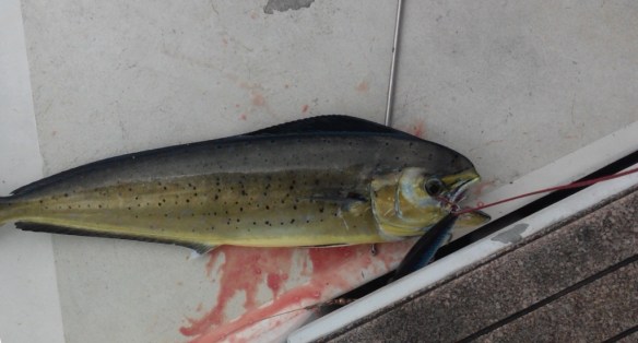 ???????????????????????????????