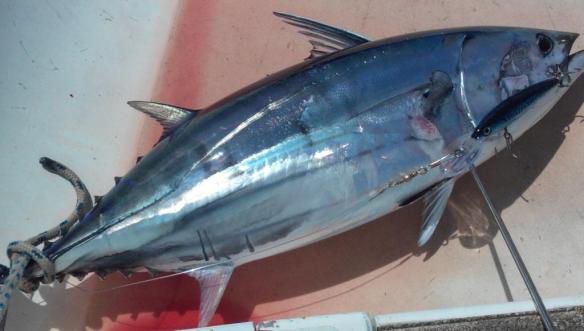 ???????????????????????????????