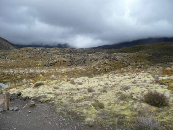 Lande dans le parc national du Tongariro au centre de l’ile du Nord.
