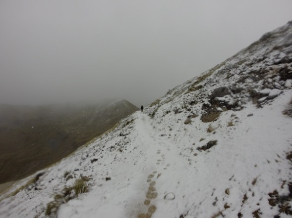 Kéa, kéa, où es-tu ? Le Kéa est une sorte  de perroquet vert endémique vivant en altitude, en voie de disparition bien sur… 