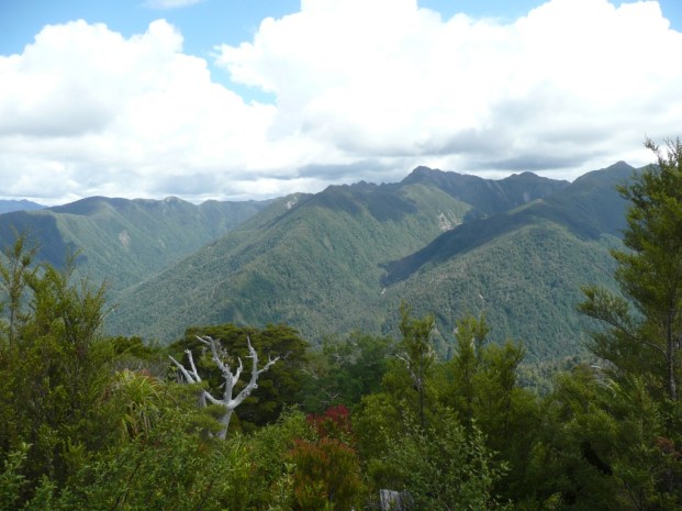 Le Heaphy Track, 4 jours de marche 80 km, à travers la forêt et la lande pour rejoindre la mer de Tasmanie. Totalement désert, trop pentu pour l’élevage.