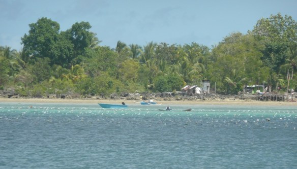 Tual – champ de bouées. Chaque point blanc est une bouteille en plastique qui supporte le filet.