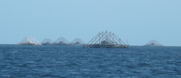 Kei Islands – Plateformes de pêche. Elles sont autopropulsées, restent en place deux/trois jours, la cabane abrite un gardien, puis l’équipage relève filets et lignes à calamars (cumi-cumi).
