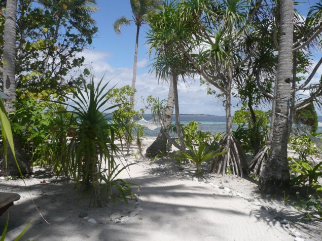 Tomia - Wakatobi resort – Coté face : luxe, calme et volupté….