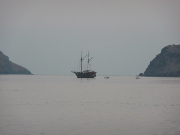 Sud de Rinca. Alors qu’il essaie de s’écouler, l’ITF est bloqué et détourné par la géographie et la topographie sous-marine complexe de l’archipel aux 17 000 iles. La profondeur à l’entrée du détroit de Lombok est de 1500 mètres. Elle s’élève à 400 mètres au centre à l’endroit le plus étroit (« What a squeeze !») avant de retomber à 1500 mètres, puis 3000 et enfin 6000 mètres dans l’Océan Indien Sud.