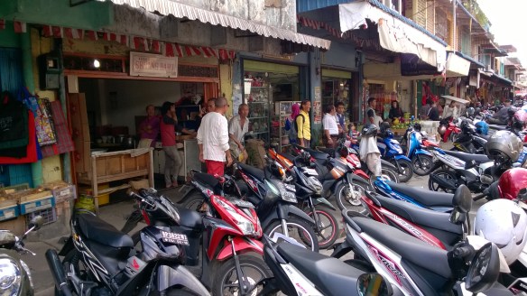Tanjung Pinang - Ile de Bintan sur l'archipel de Riau Parc d'ojeks