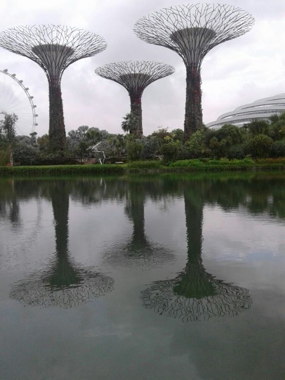 Singapour – Gardens by the Bay Structures artificielles, arbres du futur.