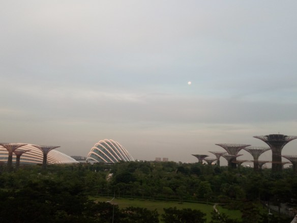 Singapour – Gardens by the bay. Grâce au sable acheté/trafiqué en Indonésie, 23 % de la ville est bâtie sur de la terre conquise sur la mer (reclaimed land). La politique verte menée par Lee Kwon Yew -le grand jardinier- a transformé la cité en jardin. Le surnom « Red Dot » fait référence au minuscule point sur la carte du Sud-Est Asiatique que représente S’pour par opposition aux géants de l’Indonésie et de la Malaisie. Il symbolise également le contraste « communiste » face aux deux régimes musulmans. 