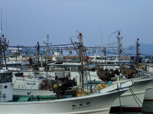 Port de pêche d’O Shima. Toute la flotte est équipée pour la pêche à la seiche de nuit. Environ 10% des bateaux sortent encore.